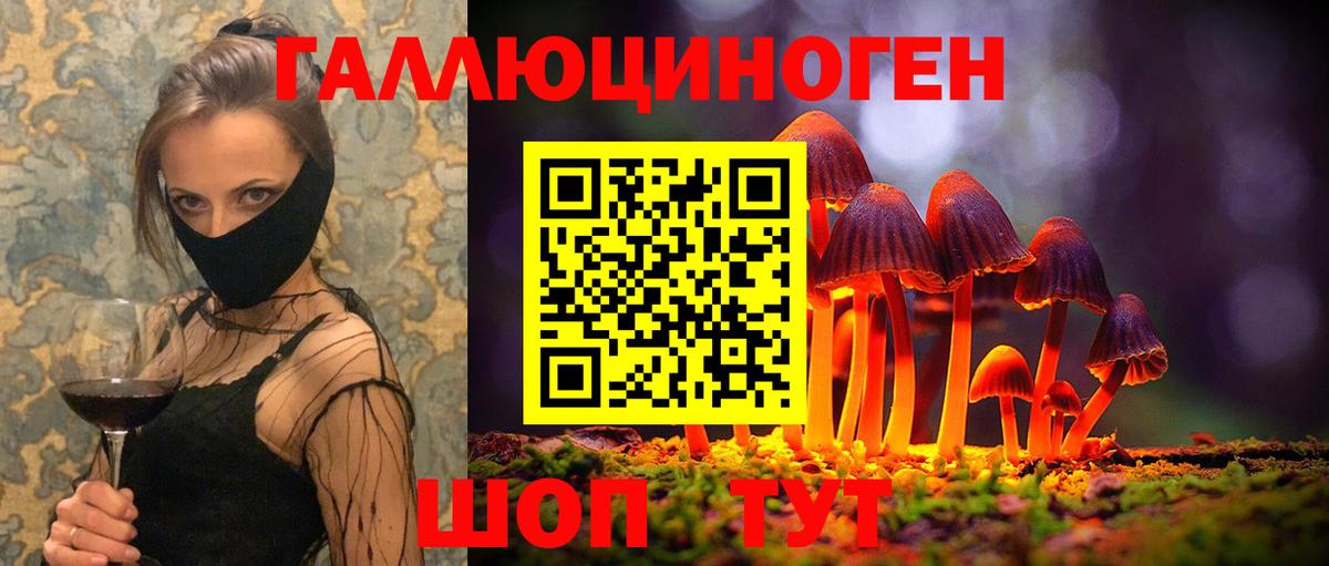 Галлюциногенные грибы Psilocybe  Вход с VPN  Галлюциногенные грибы Psilocybe  Элиста 